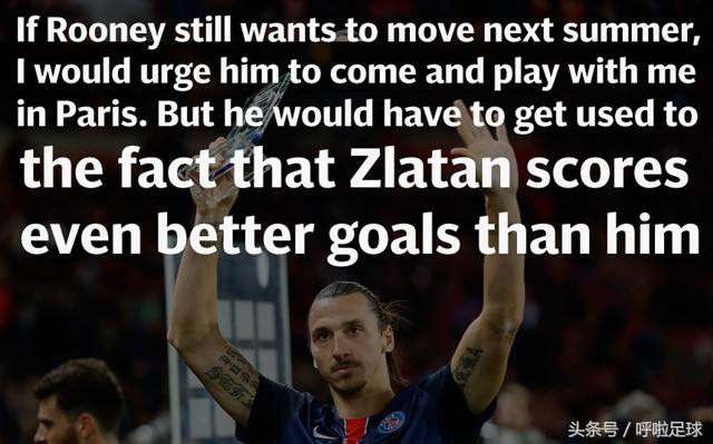 伊布瓜迪奥拉经典语录,伊布十大名言