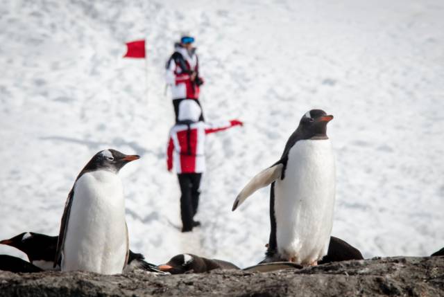 通往南极地下的水道,地球之极破冰船南极之旅