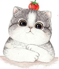 阿玛尼干枯玫瑰口红,ysl干枯玫瑰色口红