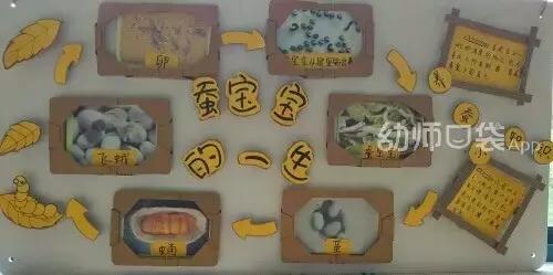 幼儿园展板简单好看,幼儿园展板简单又漂亮