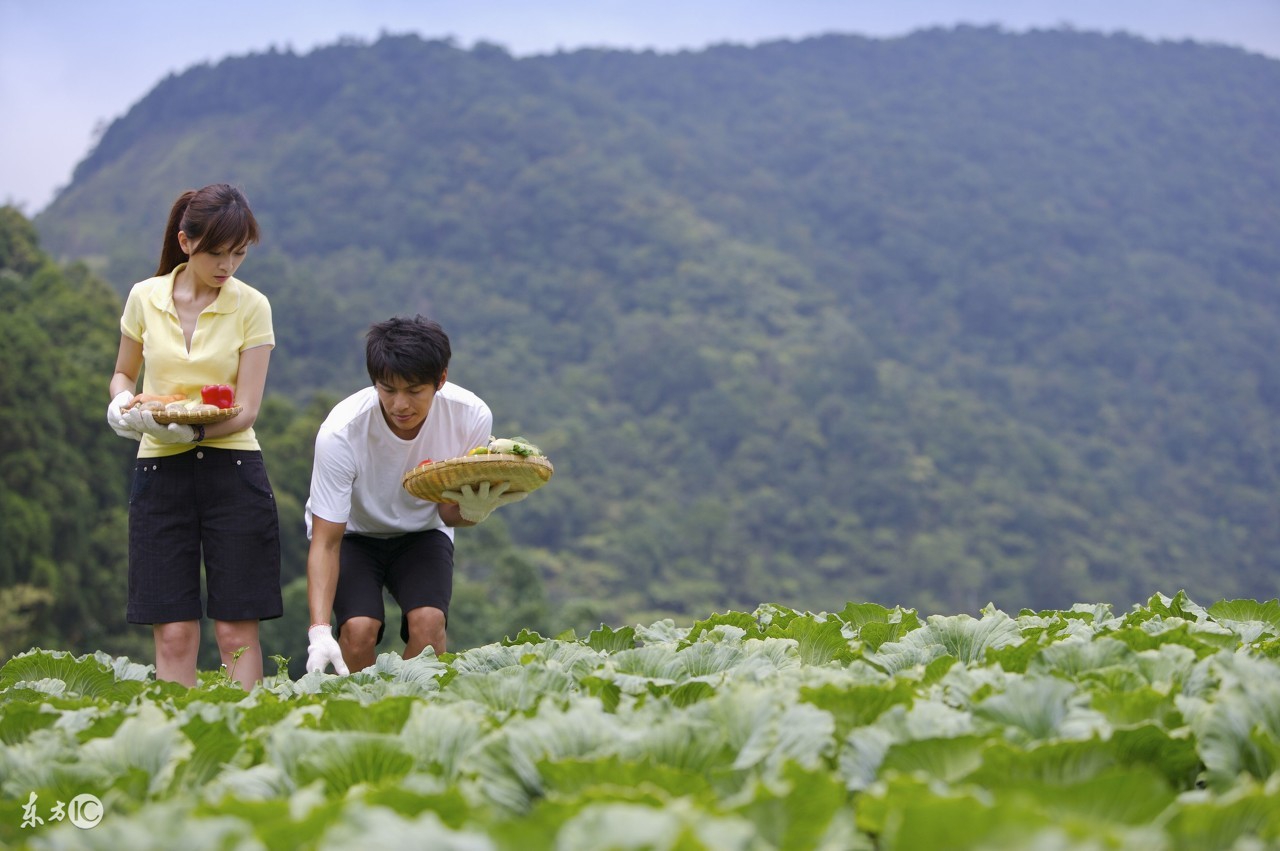 县城做啥冷门生意,县城冷门生意好项目