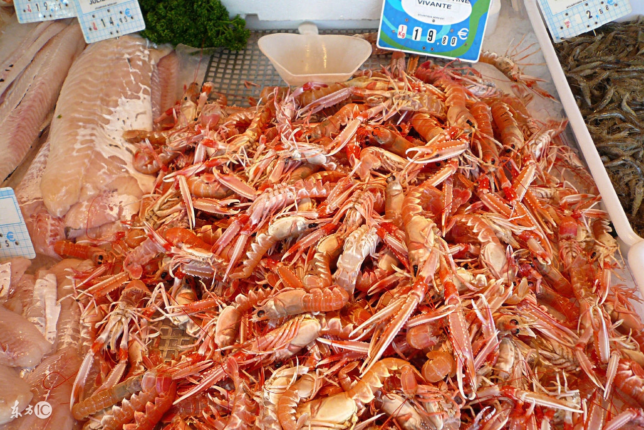 在海鲜市场揭露海鲜秘密,买海鲜小心被坑