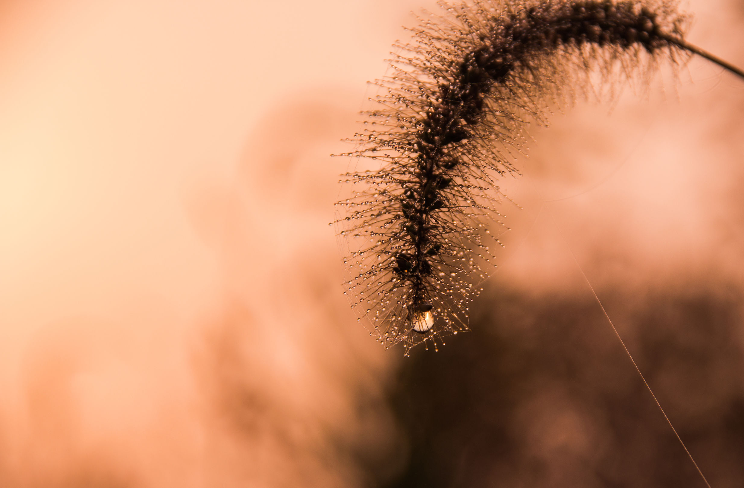 ipad绘画照片简单线稿,ipad绘画人像教程