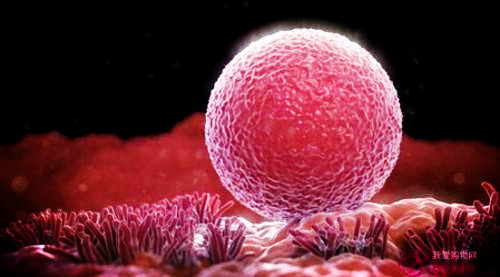 专家称要警惕不孕不育,专家谈尿不湿导致不孕不育