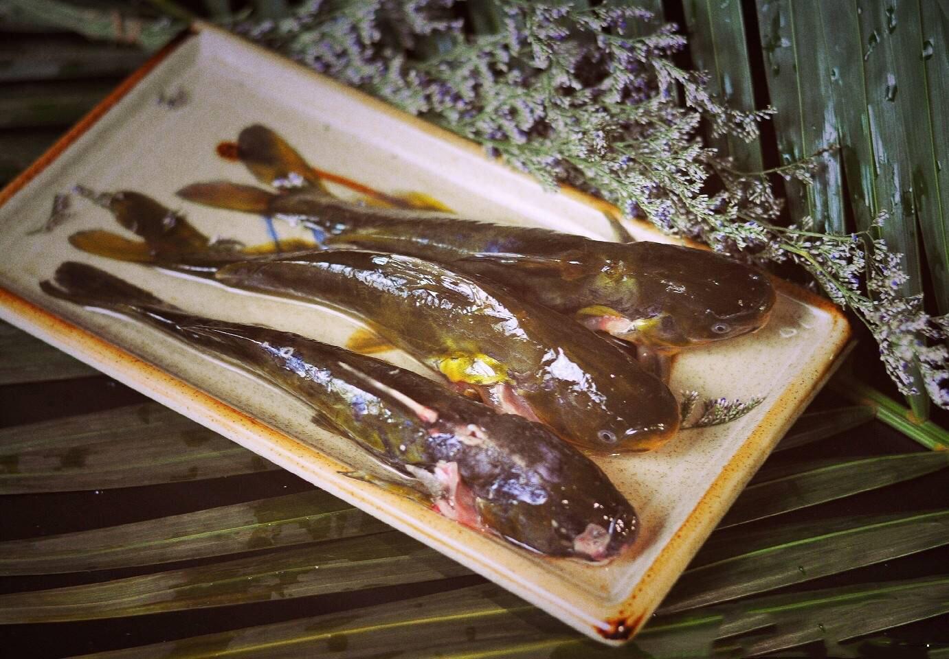 西安最正宗的串串,西安好吃的串串前十名