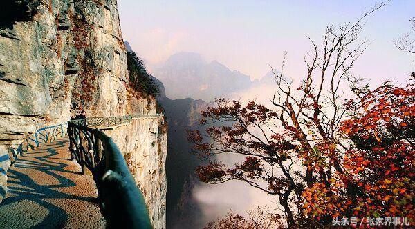 张家界峨眉山旅游路线,张家界旅游路线设计方案