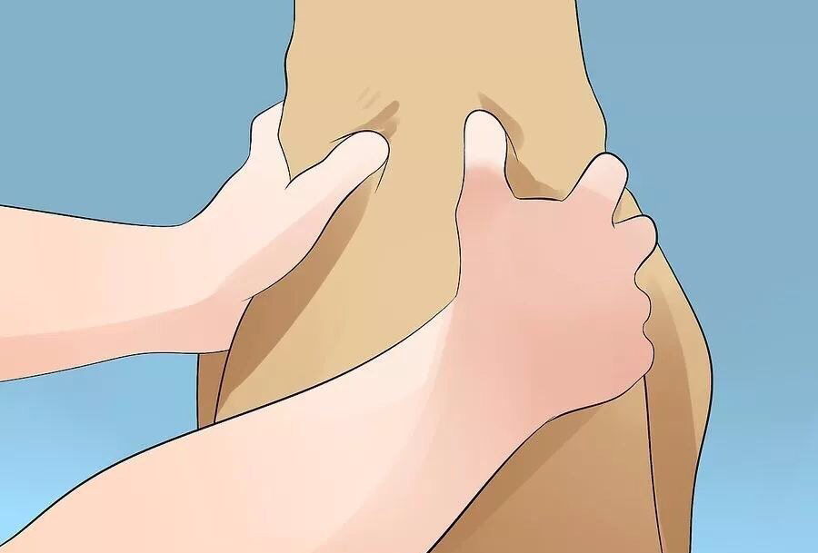 如何帮狗狗腿部按摩,给狗狗按摩的方法