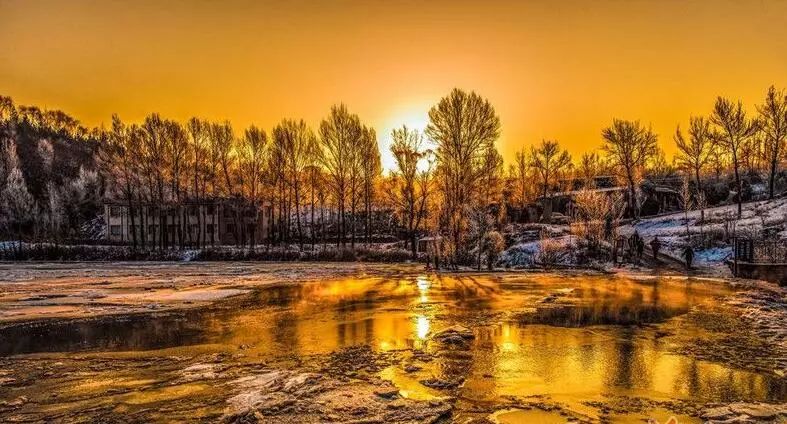 寒气席卷、叶汽成霜……陕西6处大美雾凇奇景上线！