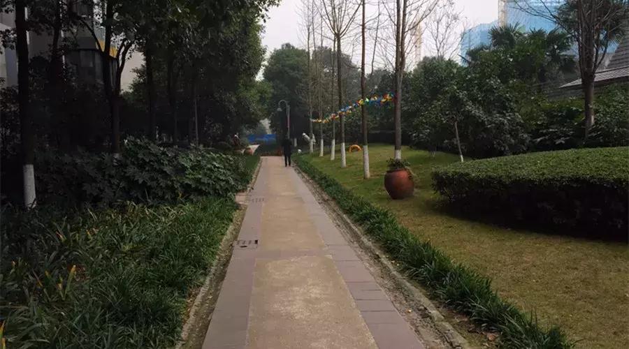 万科金域蓝湾长沙属于哪个板块,长沙万科金域蓝湾涨大水吗