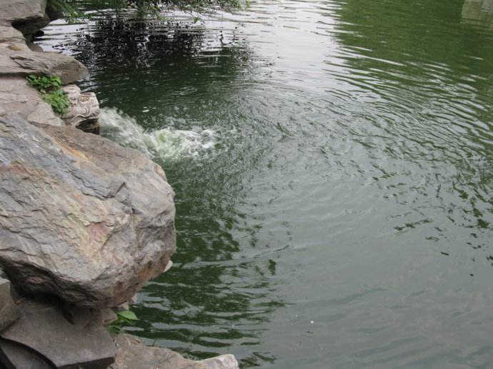 野外开辟新钓位好还是坚守钓点好,选择钓位