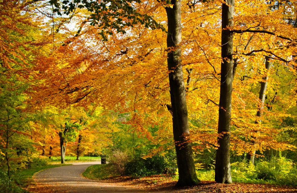 春花秋月夏夜冬雪解说,歌咏春夏秋冬的诗词