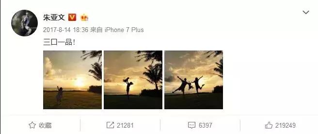 每日热搜最新消息朱亚文,朱亚文最近有什么热搜