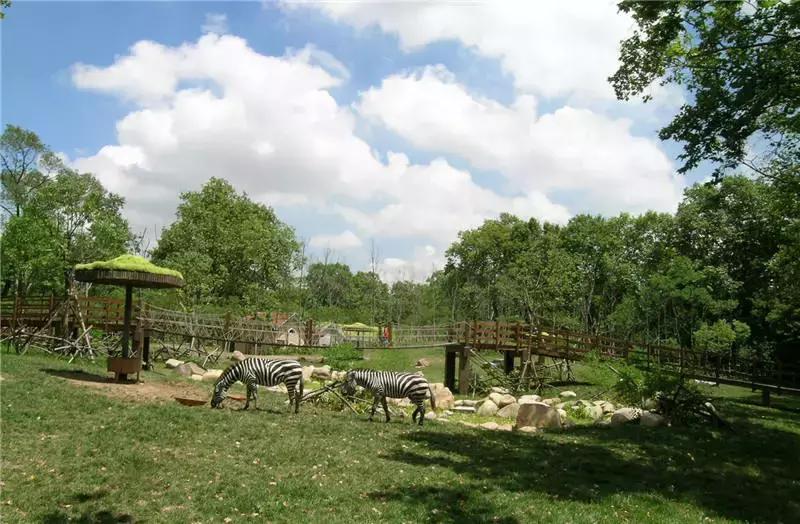 上海星级公园名单火热出炉,上海有什么5a级公园