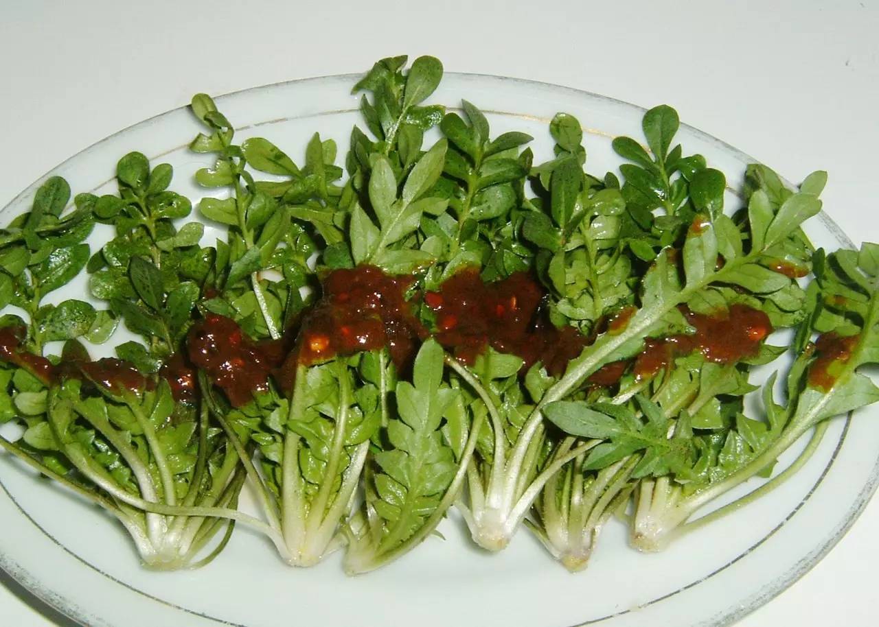 带你看看农村的野花野草,农村常见的野花野草全都认识