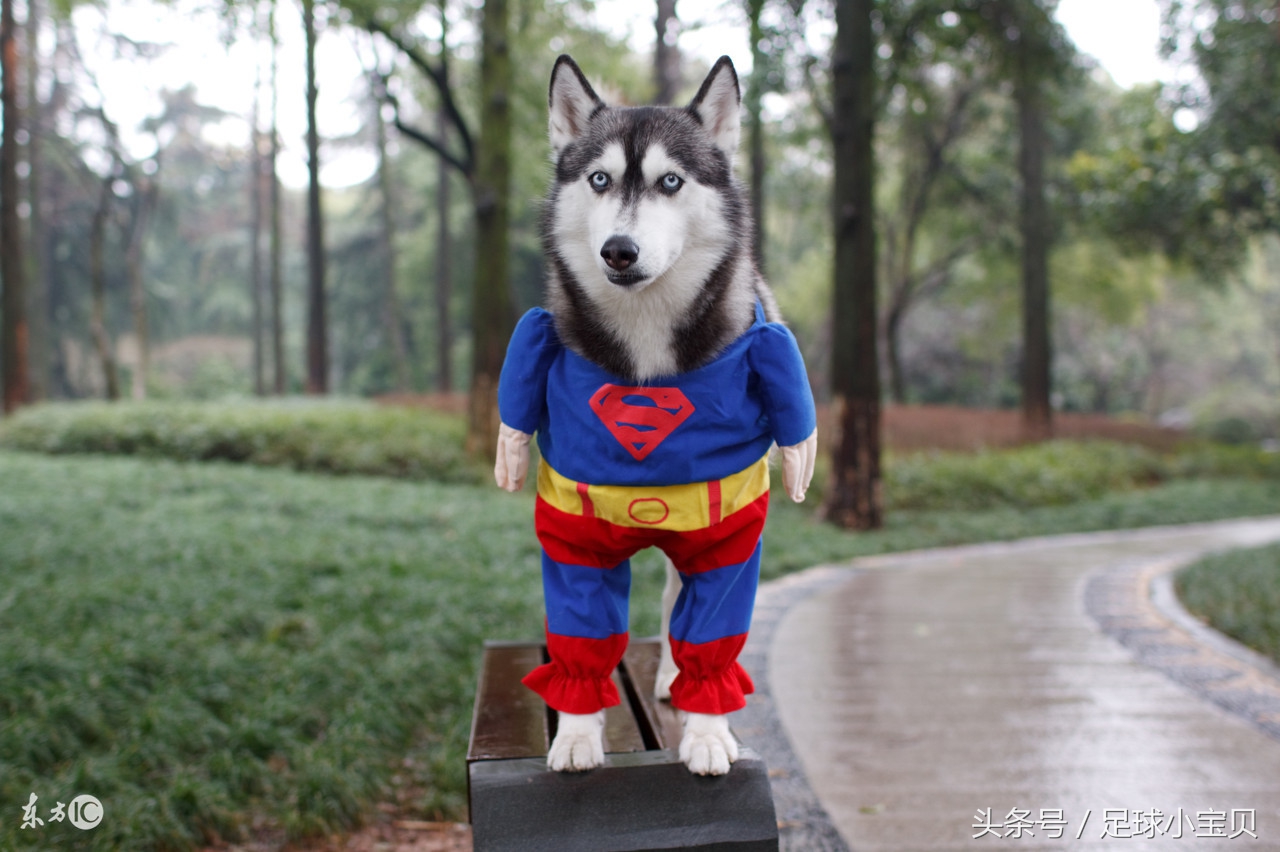 韩乔生守门员解说,韩乔生解说10号经典语录