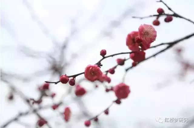 疏是枝条艳是花春妆儿女竞奢华,春妆儿女竞奢华