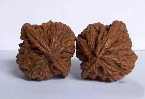 文玩核桃品种图鉴大全前十名,文玩核桃手串品种大全