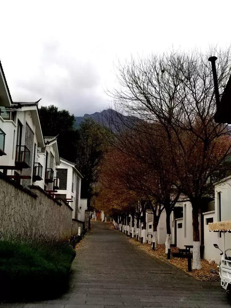 与大理古城最后一晚的邂逅,与大理的第五次相遇