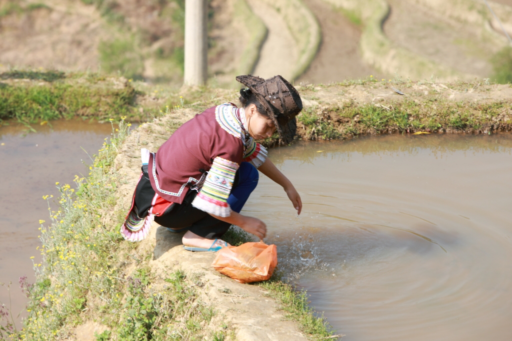 彝族传统文化风俗,讲解彝族文化习俗