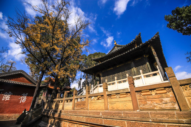 春城秀红嘴鸥图片,春城冬日美景