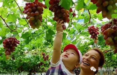 2018涓夋槑鏃呰鏃ュ巻,涓夋槑鏃呮父鏀荤暐鎬荤粨