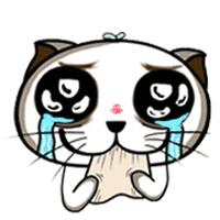 揭秘爆款真假！假货陷阱大公开！