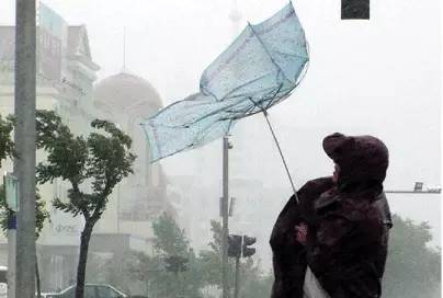 昨夜的狂风完整版,昨夜的狂风原版