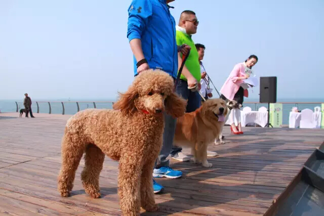 鏉ヨ繖閲屾劅鍙楃儫鐏皵鍜屽褰╀笉澶滃煄,鏉ヨ繖閲屼綋楠屼笘澶栨婧愮殑鎰熻