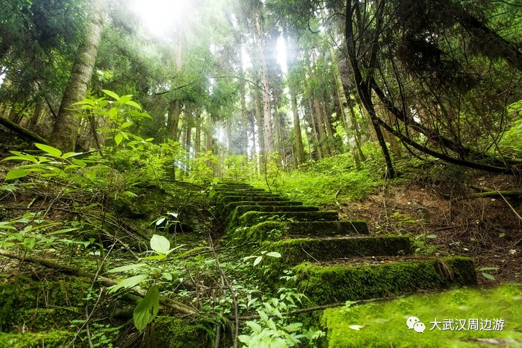 恩施免费景点2024,2018恩施