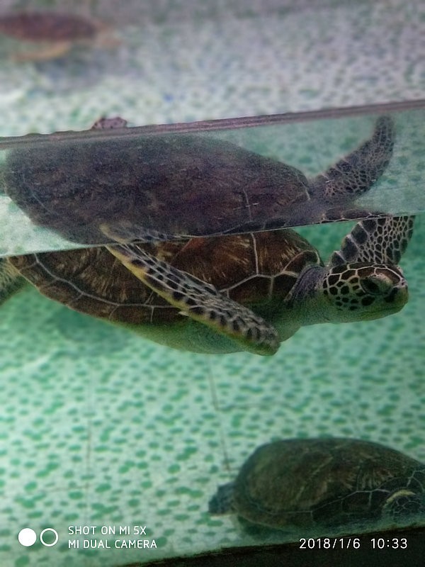 自驾游环游中国路线安徽出发,开封至安徽黄山自驾游攻略