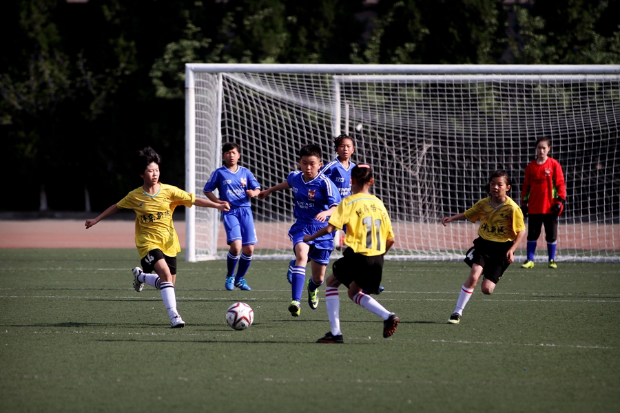 陕西足协招聘,陕西足协青年队