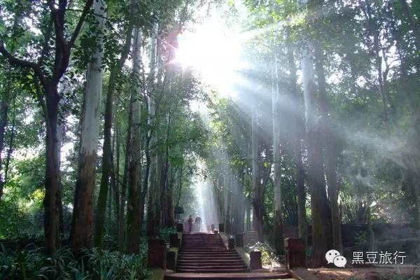 今年五一不出门宅在家里,五一不宅家悦游好时节