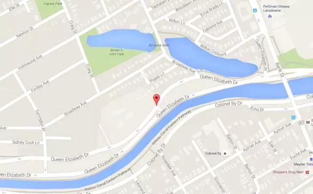 郁金香花节,全世界最大的郁金香