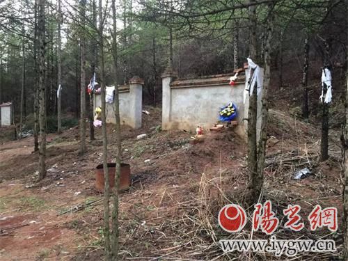 倒卖公墓由纪委还是公安机关查处,倒卖祖坟山土方如何举报