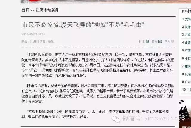 打脸！沭阳最近飘的飞絮是虫子？别逗了！