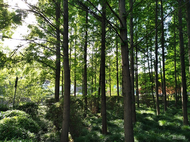 nubiaz11和z11mini,nubiaz11minis详细参数