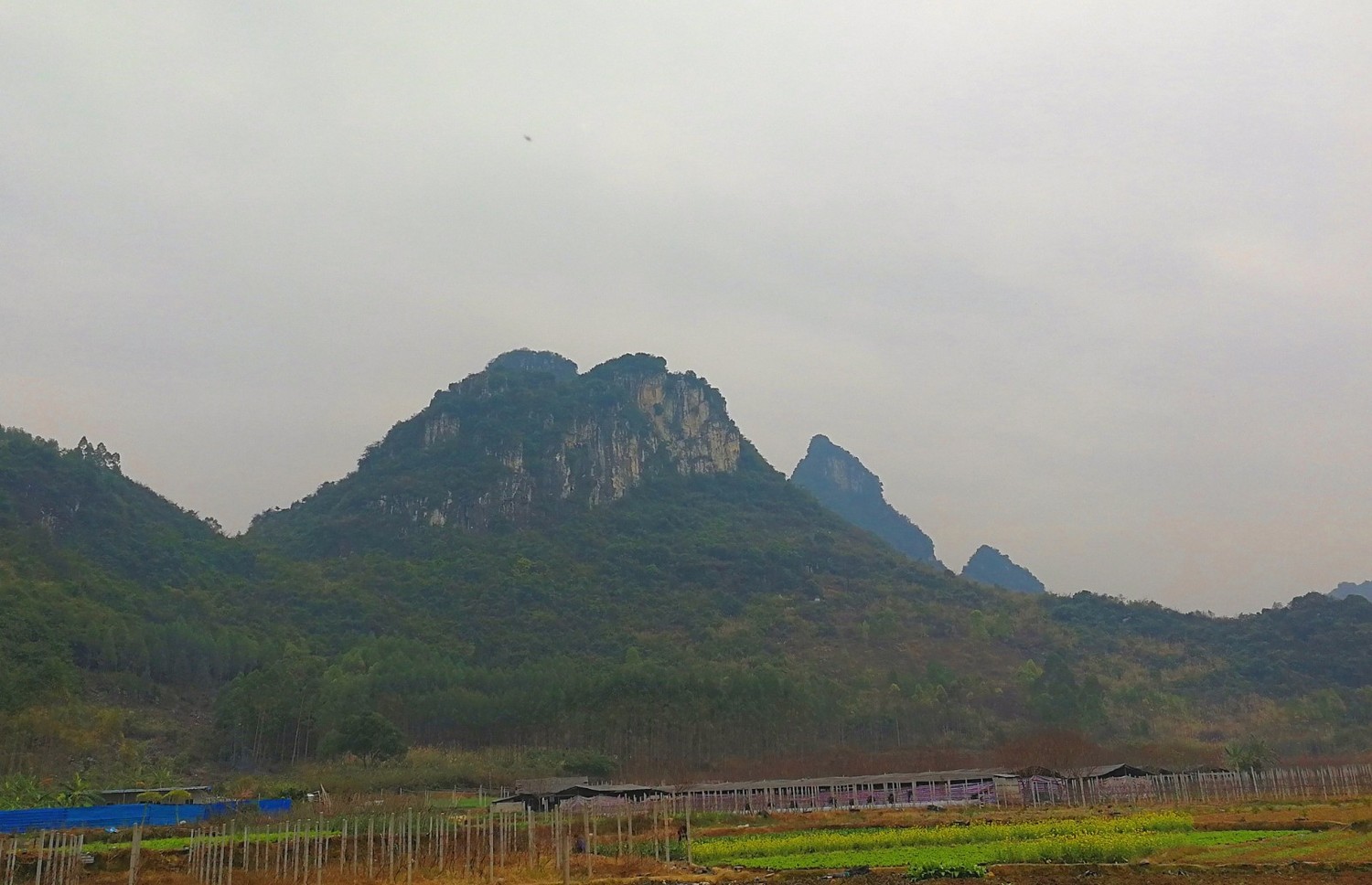 柳州旗山,柳州旗山视频