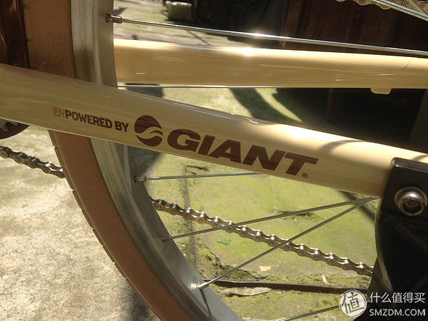 捷安特momentum98,捷安特momentum女士自行车