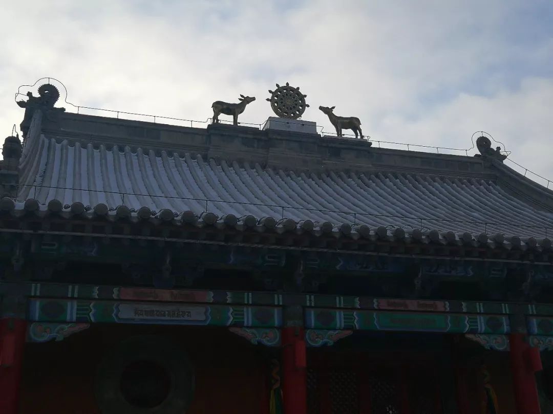 带你领略不一样的锡林浩特之美,锡林浩特的夜晚景色太美太漂亮