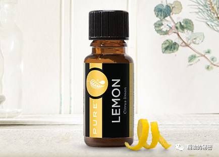 精油5大功效,用这10种精油搞定生活中常见病症