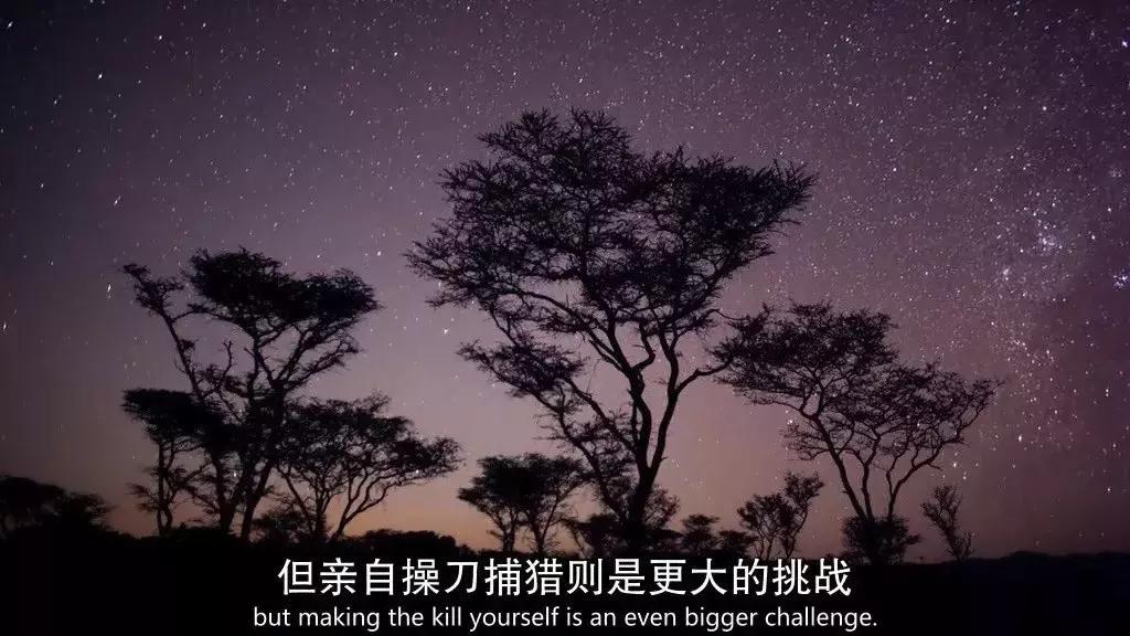 必看bbc10部地理纪录片,bbc十部顶级纪录片