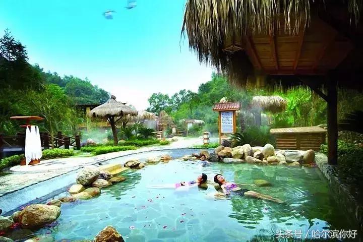 2018年哈尔滨各区县排名,2018年哈尔滨各区gdp