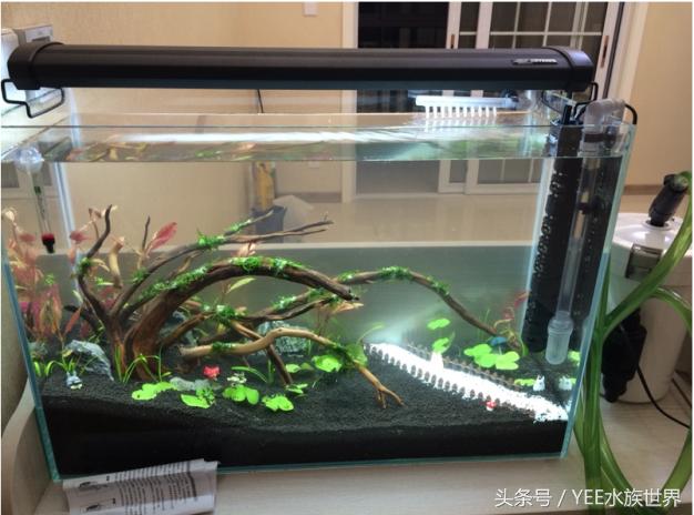 鱼缸过滤用海绵好还是过滤棉好,1.5米鱼缸过滤系统制作教程