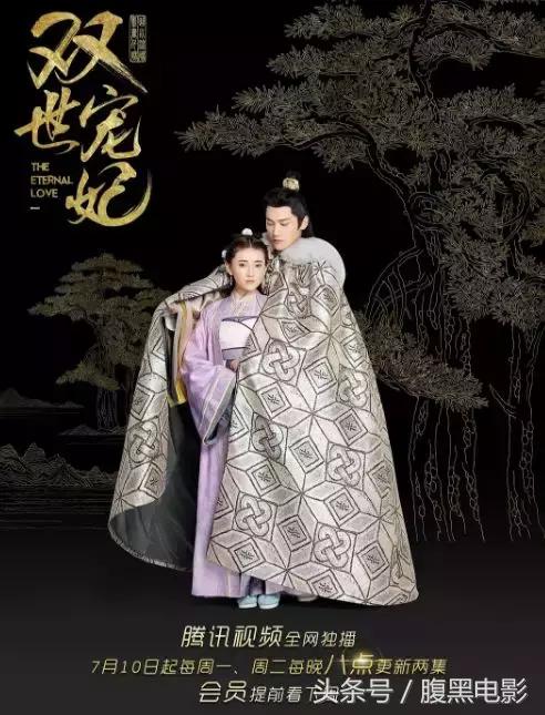 今年的网剧，就靠这几部了