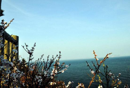 在广东你也可以面朝大海,在广东生活是一件幸福的事