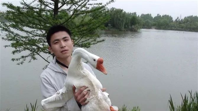 从“看肉吃饭”到终身吃素：一枚处女座男生的心路历程