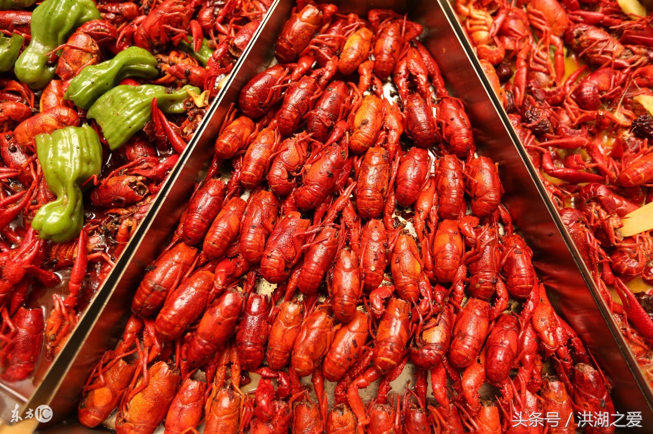 钓小龙虾的细节,网钓小龙虾技巧野外