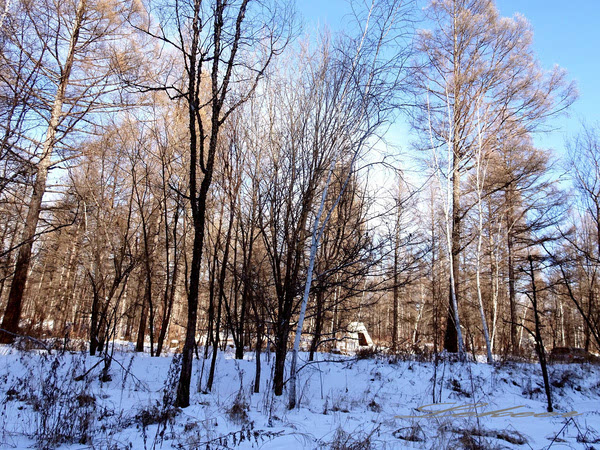 黑河兴安岭中有一个村款待客人方式怎么和蒙古族人一样？