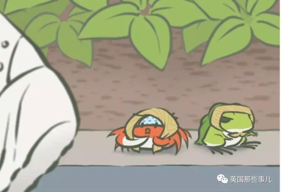 怎么才能让蛙蛙回家,怎么能让蛙快点回来