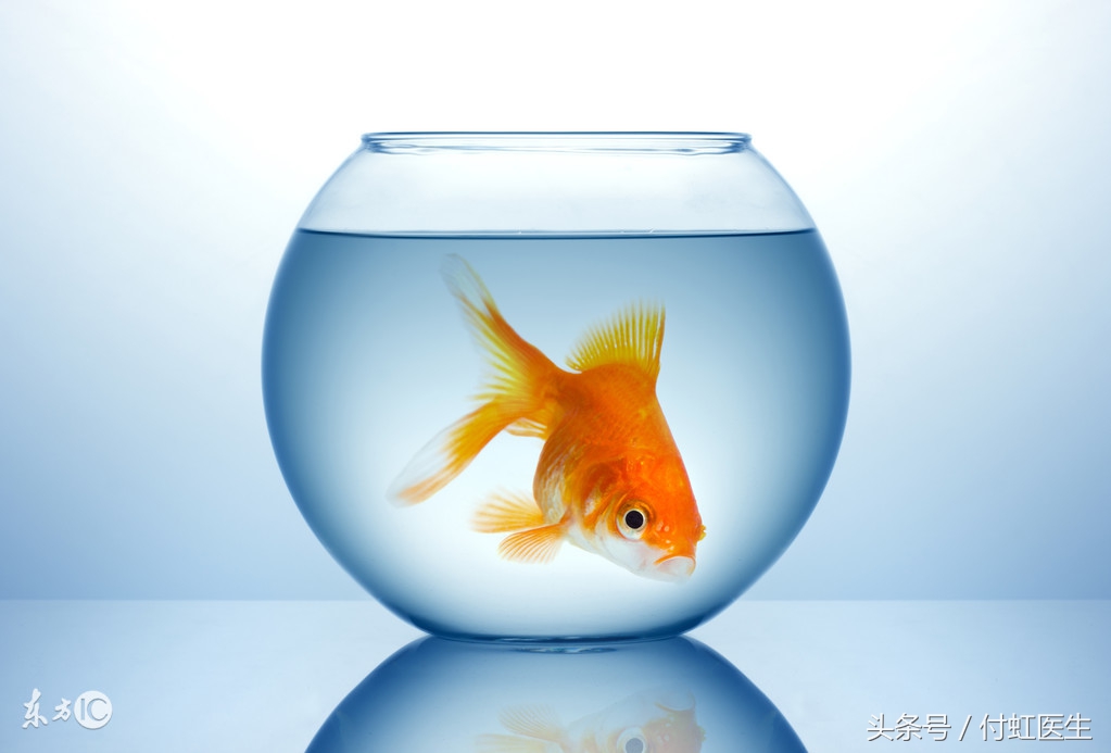 妇科炎症导致的盆腔炎怎么治,湿热型盆腔炎怎么调理